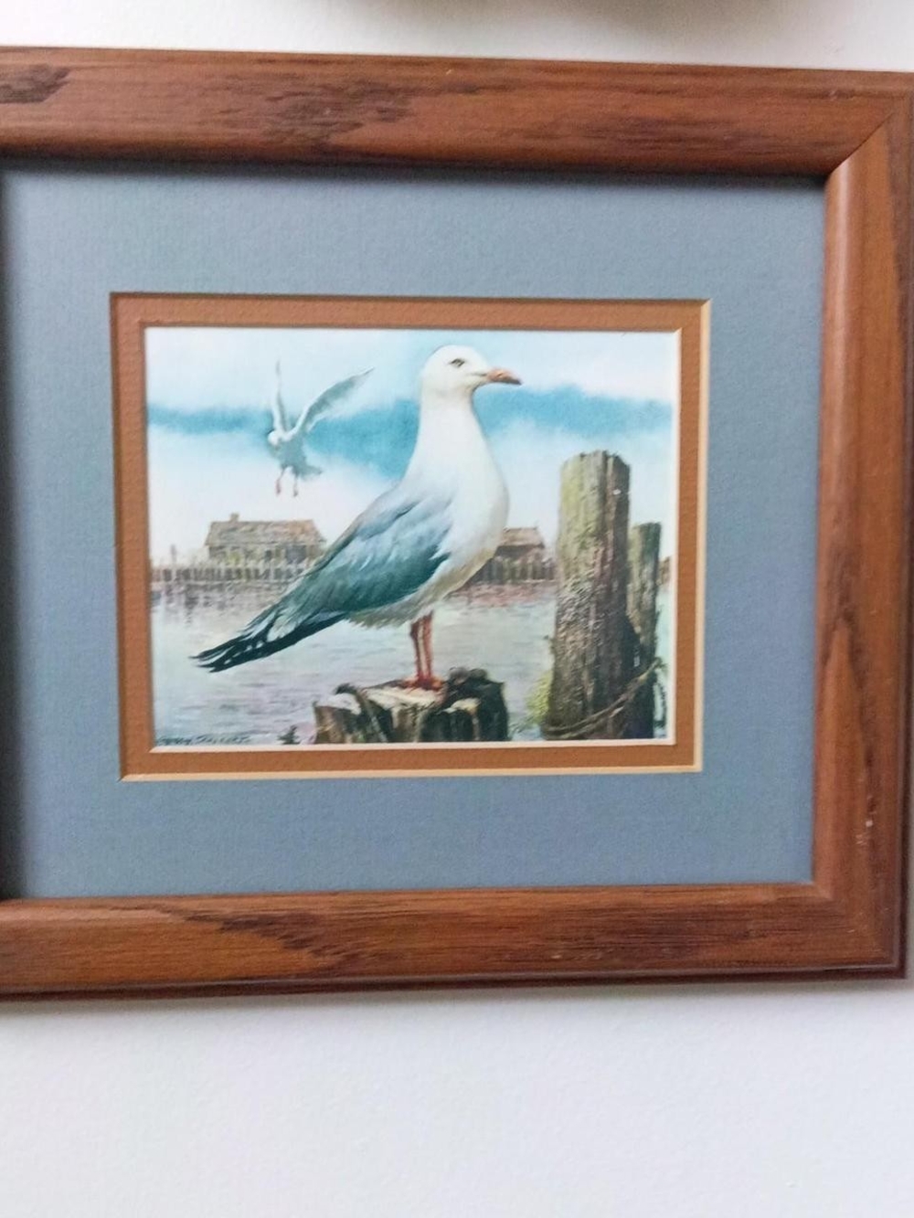 Seagull Coastal Print Wall Art - Blue and White